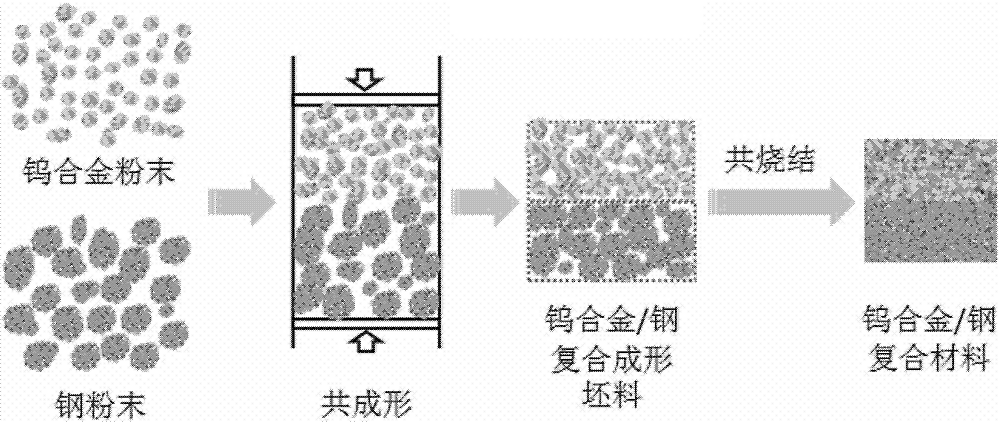 粉末冶金燒結(jié)過程.png